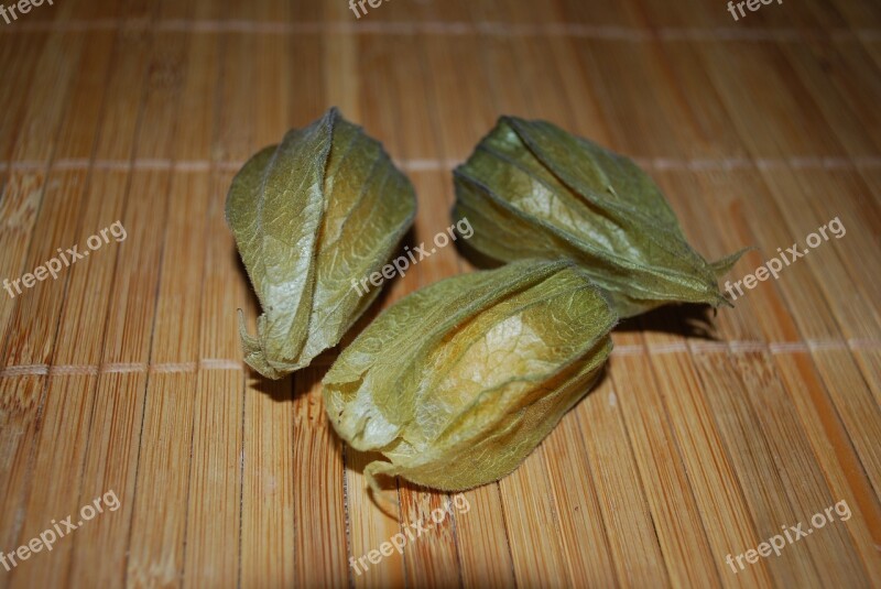 Three Closed Physalis Fruit Orange