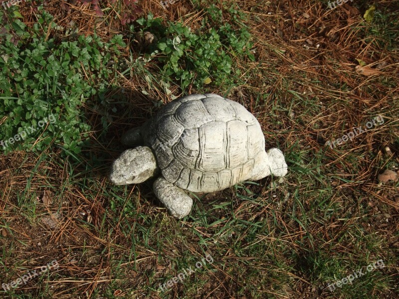 Turtle Statue Garden Decoration Free Photos