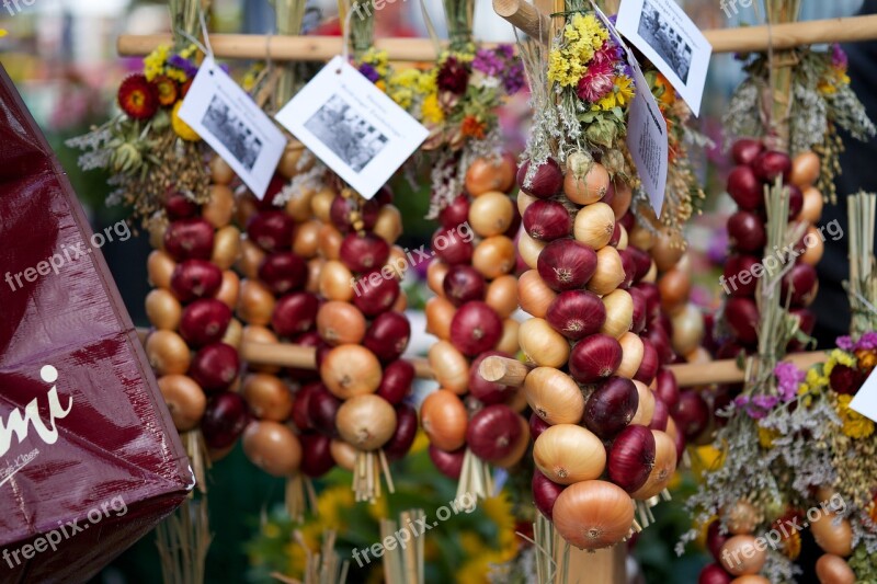 Onions Vegetables Eat Food Healthy