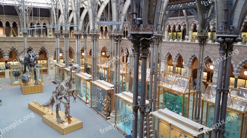 Oxford Museum Of Natural History Oxford Oxford Museum Oxford Natural History City