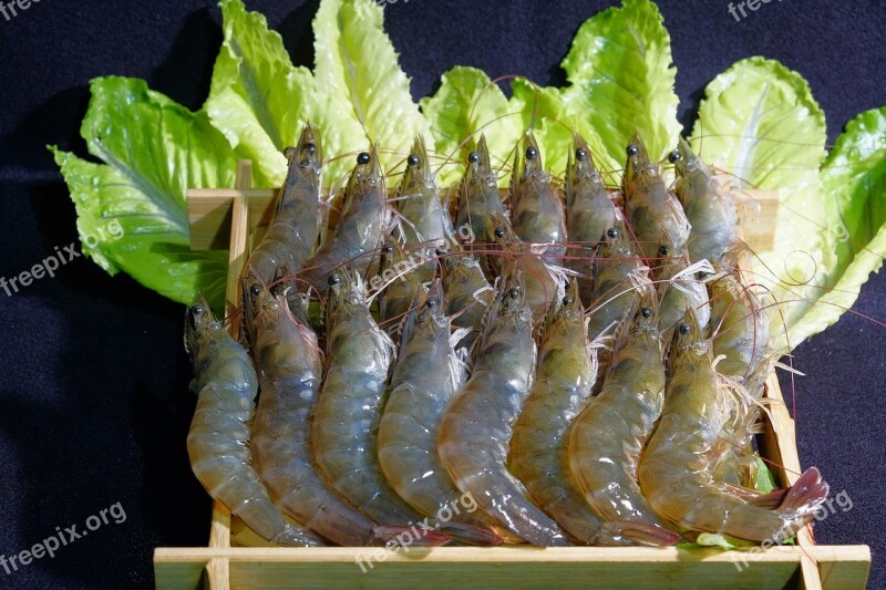 Premium Shrimp White Shrimp Vegetable Shrimp Free Photos