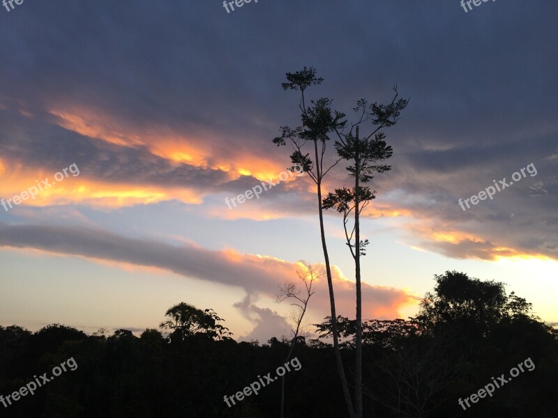 Evening Sky Clouds Sunset Dusk