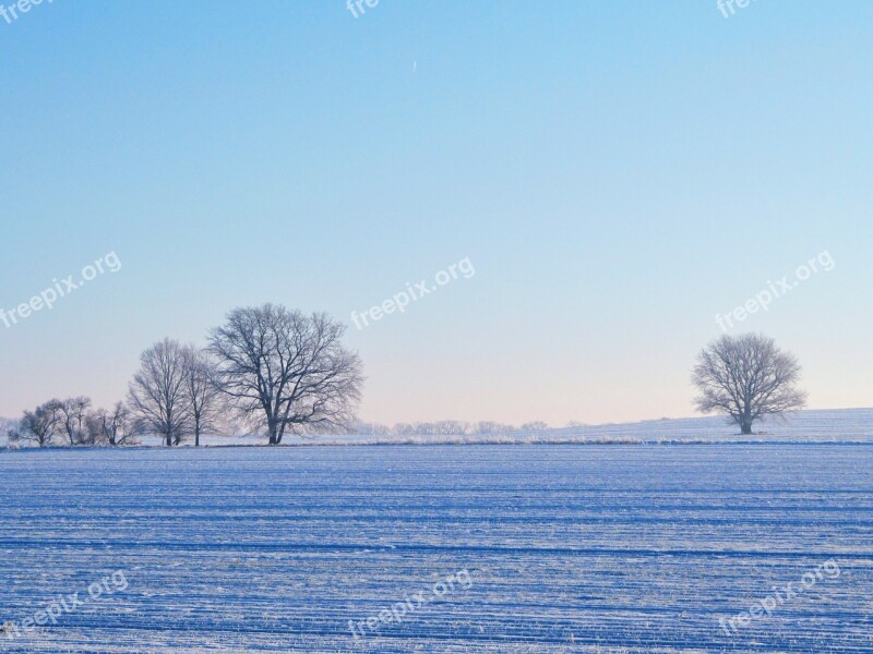 Field Trees Winter Snow Brandenburg