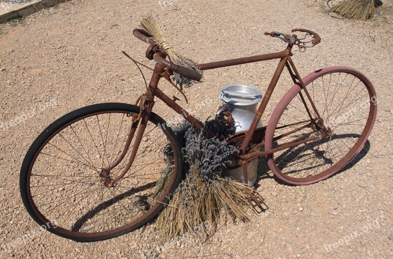 Bike Vintage Rust Lavender Provence