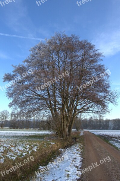 Winter Away Snow Landscape Road