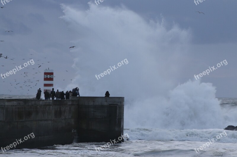 Giant Wave Curling Lighthouse Rough Seas Angry Nature