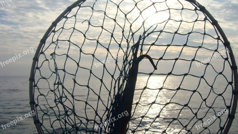 To Go Fishing Sea Landing Net Free Photos