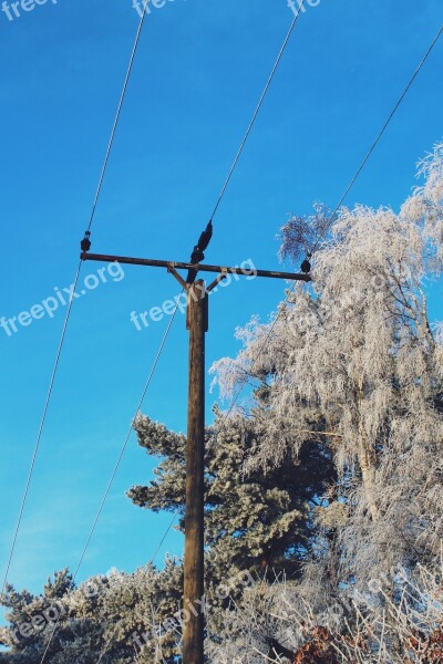 Strommast Wintry Winter Landscape Snow