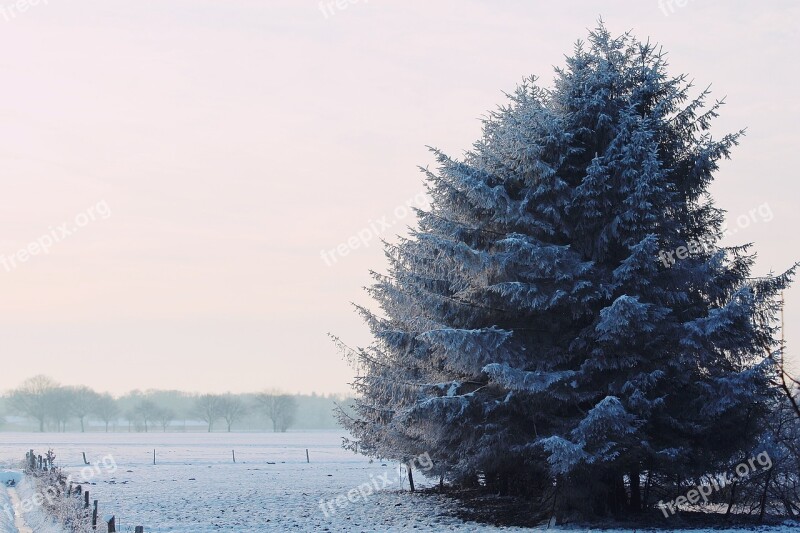 Wintry Winter Landscape Snow Snowy