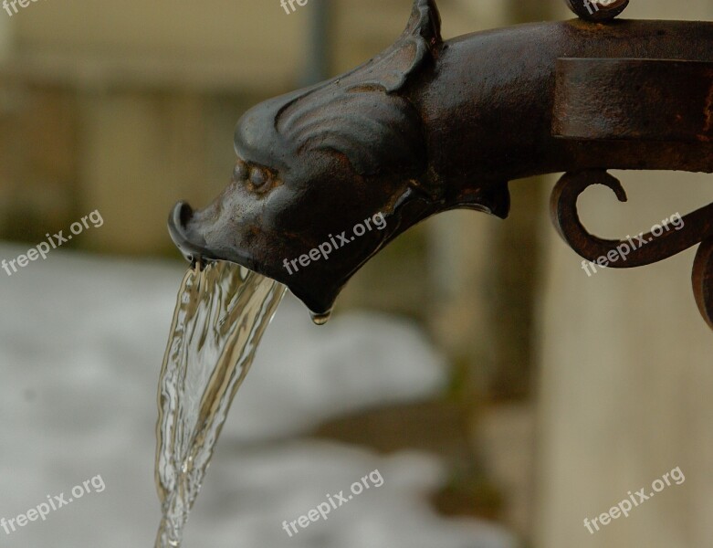 Fountain Water Water Jet Gargoyle Free Photos