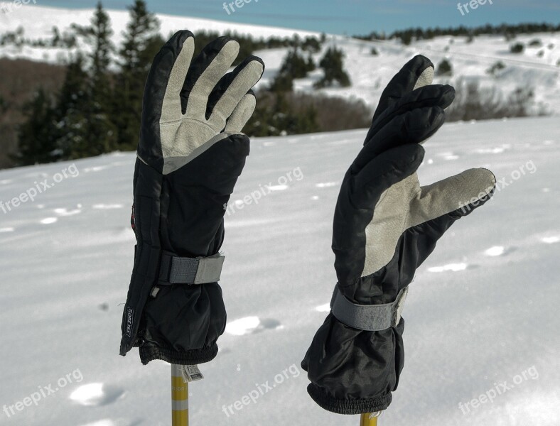 Gloves Ski Snow Protection Free Photos