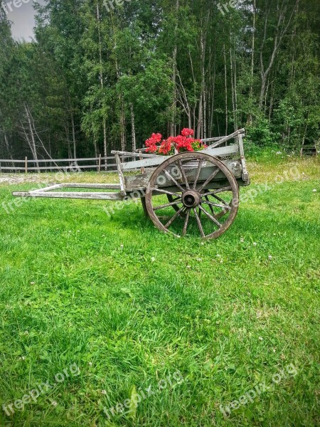 Flower Cart Floral Arrangements Cartwheel Old