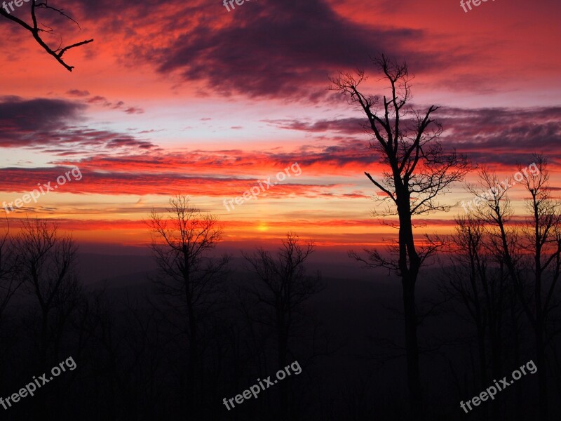 Sunrise Winter Trees Morning Nature