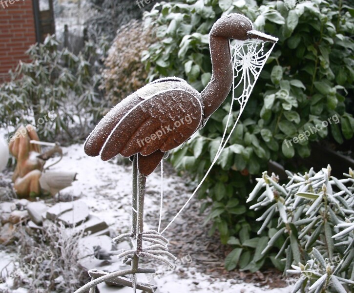 Winter Frost Still Life Ice Winter Magic