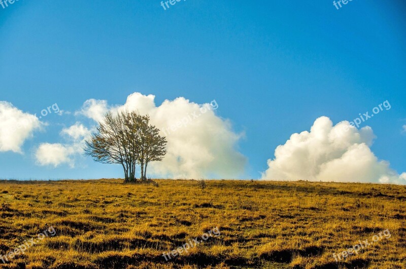 Plant Mountain Mountain Landscape Clouds Sky And Clouds