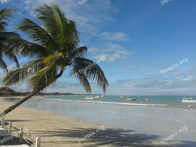 Alagoas Maragogi Brazil Northeast Huh