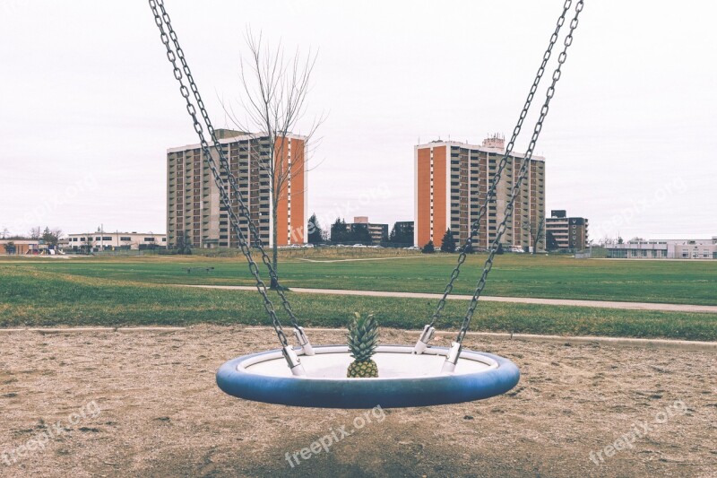 Pineapple Swing Buildings Playground Landscape