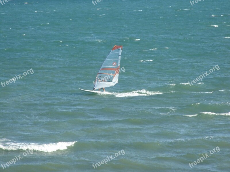 Wind Surfer Sea Sport Surfer Wind