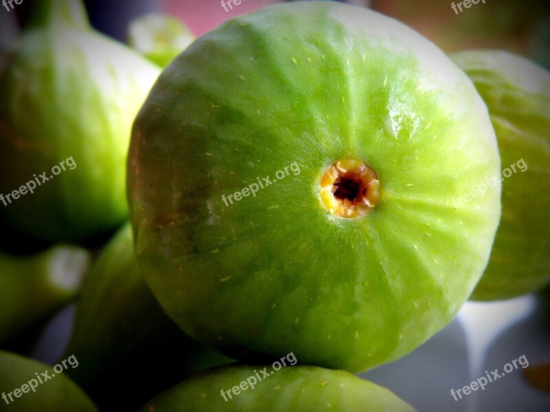 Fig Summer Fruit Food Fresh