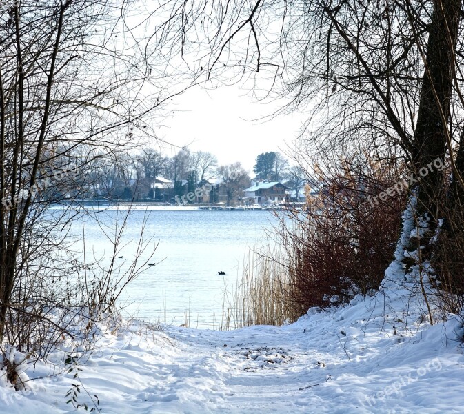 Winter Snow Lake Waters Trees