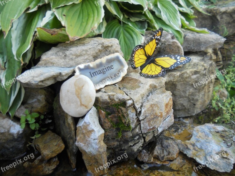 Imagine Rock Butterfly Free Photos