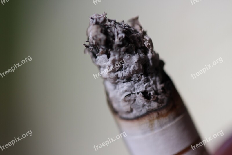 Cigarette Ash Burns Tilt Cigarette Butts