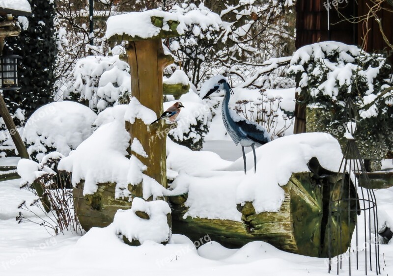 Winter Snow Wintry Fountain Heron