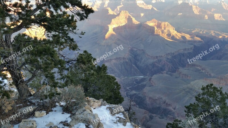 Tree Grand Canyon Rock Scenic