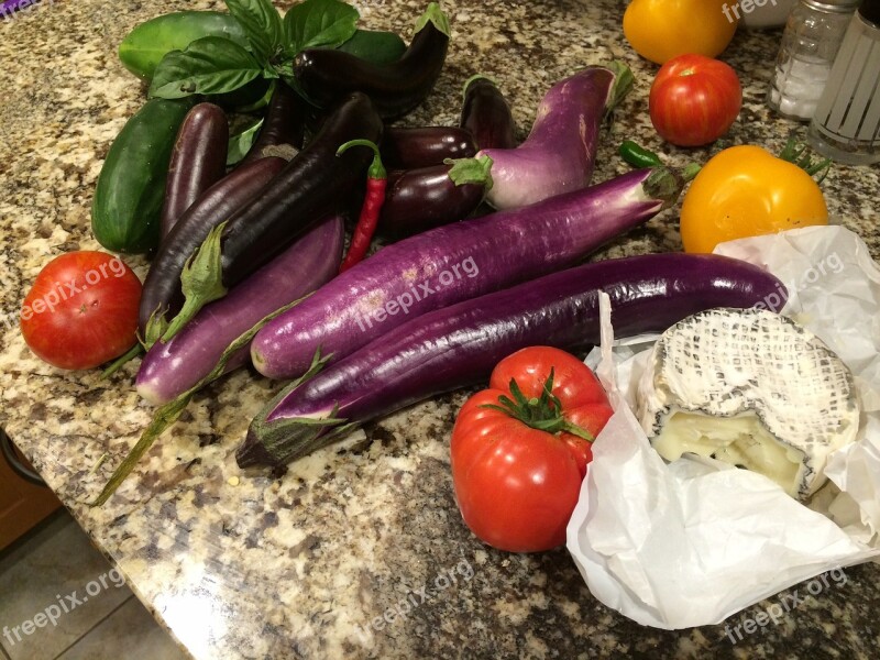 Eggplant Summer Harvest Free Photos