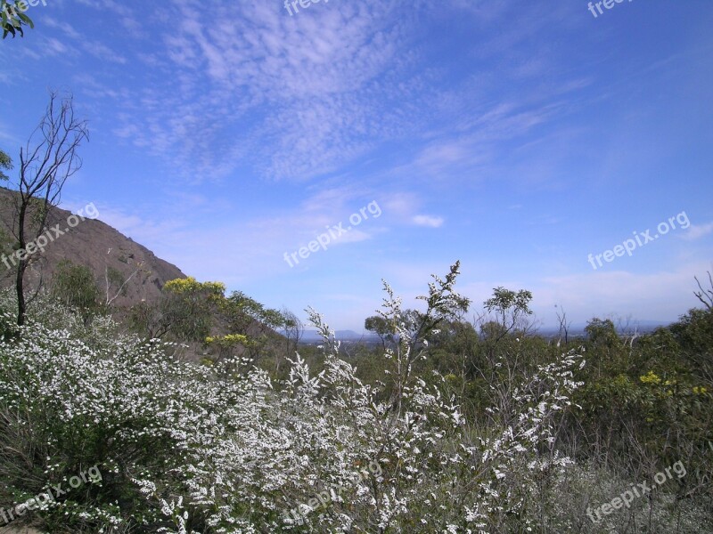 Outdoors Nature Australia Landscape Outdoor Activities