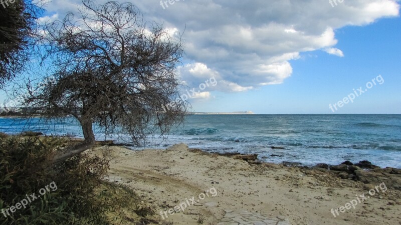 Cyprus Makronissos Beach Tree Clouds Free Photos