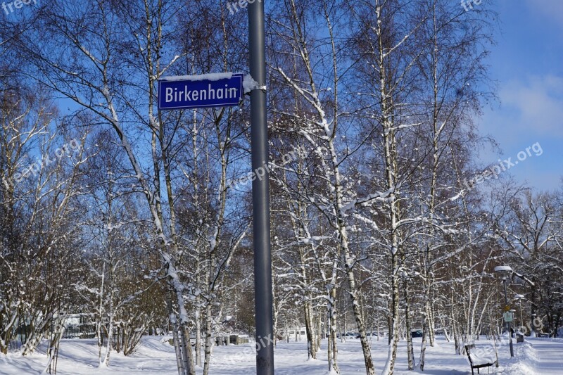 Snow Winter Birch Forest Shield