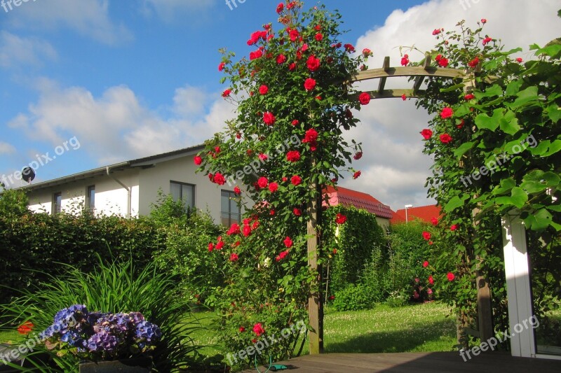 Rose Arch Rose Terrace Clouds Free Photos