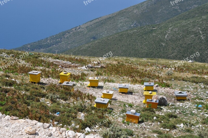 Albania Beehives Apiculture Europe Outdoor