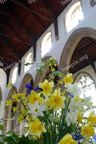 Flowers Cathedral Yellow Daffodils Religion