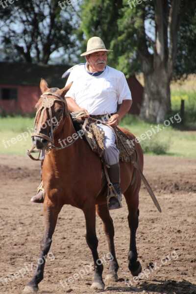 Horse Rider Argentina Gaucho Free Photos