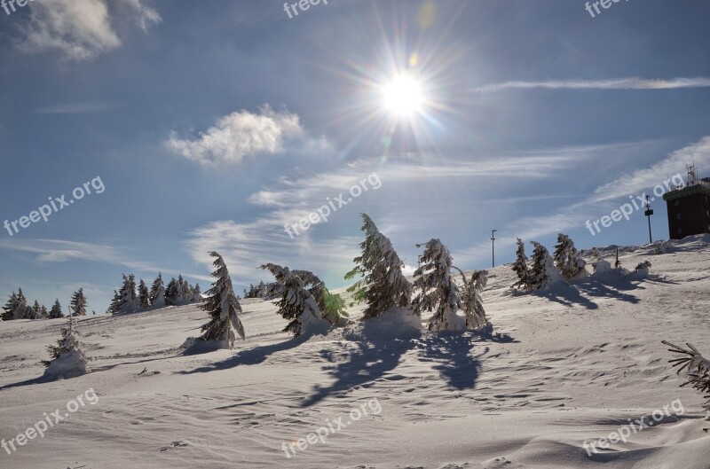 Winter Sun Snow Nature Frost