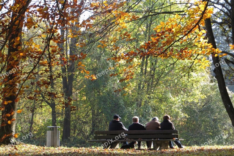 Munich Autumn English Garden Free Photos