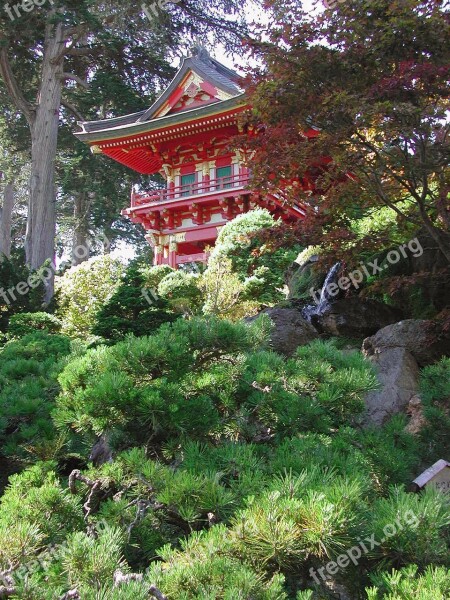 Pagoda Forest Temple Architecture Asia