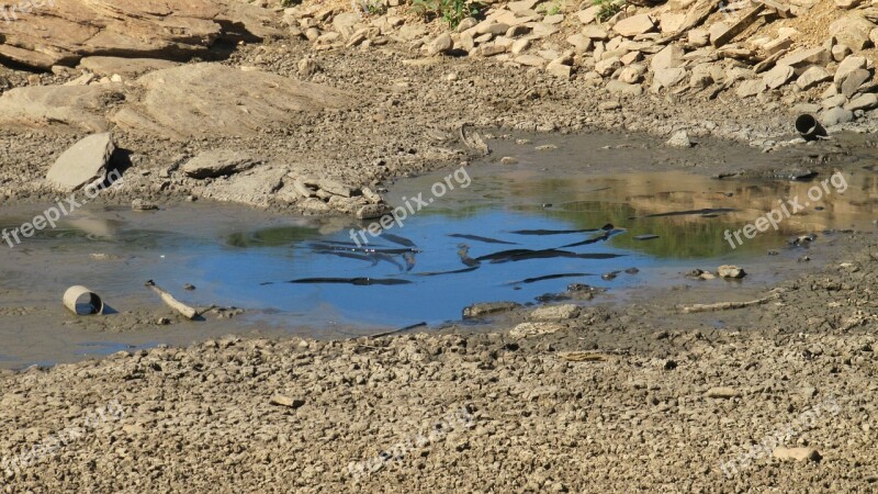 Dry Season Lake Dehydrated Drought Dry