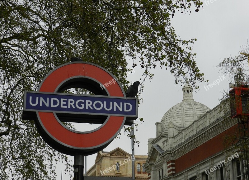 London Underground City Tree Gray Sky