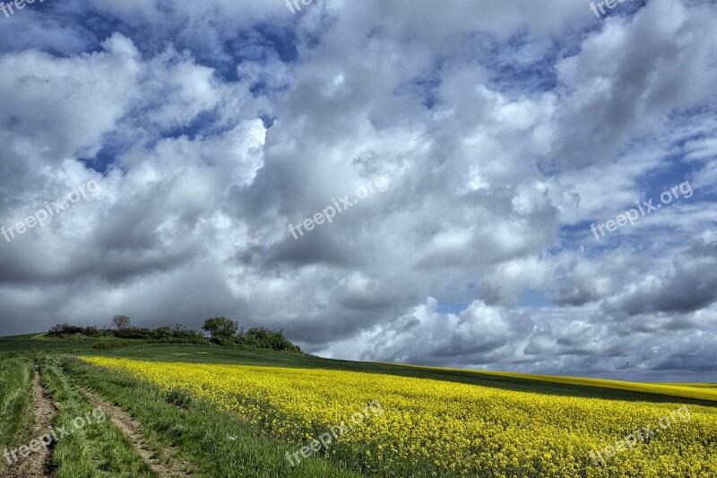 Field Agricultural Clouds France Cereals