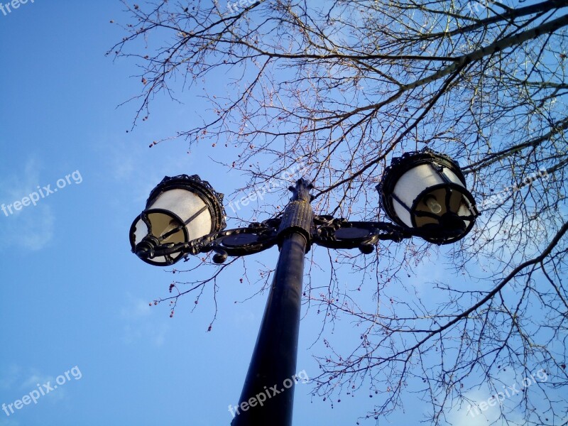 Streetlights Lighting Sky Branches Park