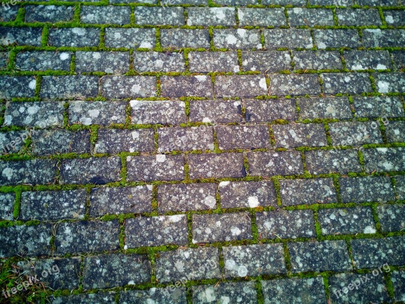 Texture Paving Stones Cobble Street Empedrado