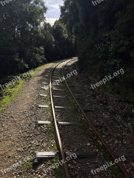 Train Tracks Forest Greece Pillion Track