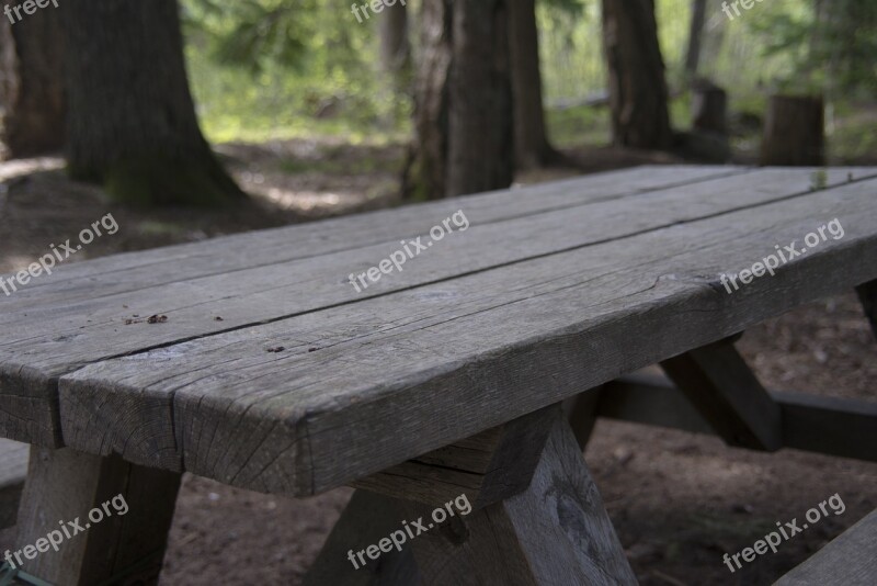 Picnic Table Picnic Table Nature Wooden