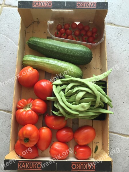 Vegetable Harvest Raspberry Tomatoes Garden