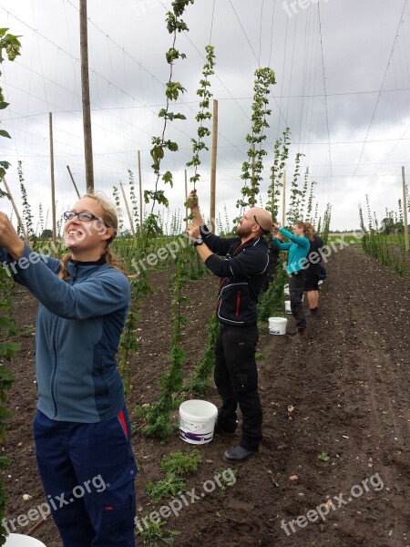 Fresh Hops Craft Brewing Local Beer Brew Beer