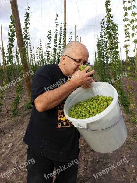 Fresh Hops Craft Brewing Local Beer Brew Beer