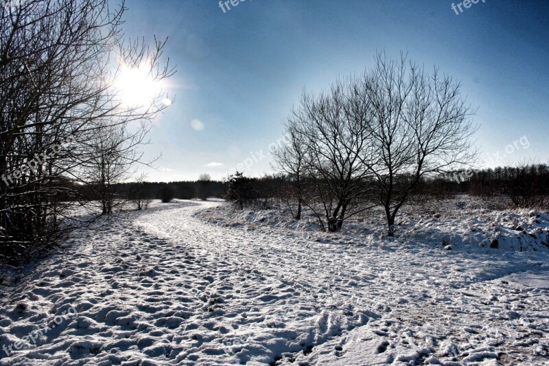 Friedrichsfeld Snow Snow Landscape Winter Wintry